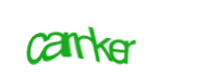 There is supposed to be an image captcha here, you could refresh the page or press the {0} button to try getting another image.