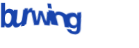 There is supposed to be an image captcha here, you could refresh the page or press the {0} button to try getting another image.