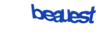 There is supposed to be an image captcha here, you could refresh the page or press the {0} button to try getting another image.